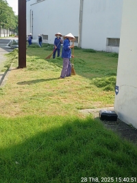 cắt cỏ nhật tại công ty